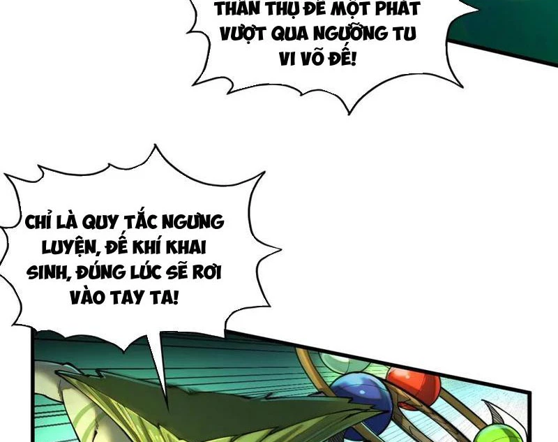 vạn cổ chí tôn Chapter 374 - Trang 2